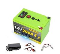 Batteria A Ciclo Profondo LiFePO4 Da 12 V 200 Ah For Sistemi Solari, Camper, Marine, Accumulo Di Energia Off-grid(12E 200Ah Charger)