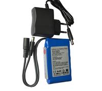 Batteria a Litio Ricaricabile 12V 2500mA 2.5Ah Barra Led + Charger 12.6V 0.5Ah