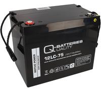 Batteria A Piombo Compatibile Per Recinto Elettrico 12V 75Ah 12LC-75 M6 QB