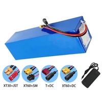 Batteria agli ioni di litio for bici elettrica 48 V 20 Ah con caricabatterie da 54,6 V - Alte prestazioni for biciclette e scooter elettrici, BMS integrato, compatibile con motori da 250 W a 1000 W, c