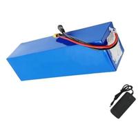 Batteria agli ioni di litio for bici elettrica 48 V 20 Ah con caricabatterie da 54,6 V - Alte prestazioni for biciclette e scooter elettrici, BMS integrato, compatibile con motori da 250 W a 1000 W, c