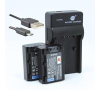 Batteria agli ioni di litio NP-FV50 DSTE da 7,4 V, 1300 mAh, confezione da 2 + caricatore micro USB, compatibile con Sony HDR-CX220, CX230, CX290, CX330, CX380, CX430V, CX900, CX260V, CX580V, CX760V