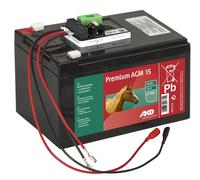 Batteria AGM 12 V 15 Ah