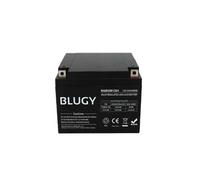 Batteria AGM compatta Blugy 12V 24A 165 X 176 X 127 mm
