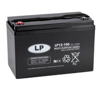 Batteria AGM Landport Piombo 12V 100Ah NSA LP12-100 T11