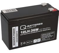 Batteria Piombo 12V 9Ah 12LH-36W Alta Gel AGM, Compatibile WP1236W, MP1236H Qb