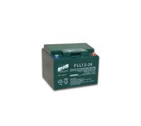 Batteria AGM piombo 24Ah 12V ermetica piastra piana | 1000 cicli | FAAM