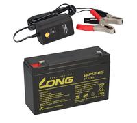 Batteria AGM Piombo 6V 12Ah Compatibile Per UPS Piombo Gel + Caricabatterie 10Ah