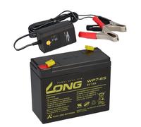 Batteria AGM Piombo 6V 7Ah WP7-6S Compatibile Per UPS Piombo Gel + Caricatore