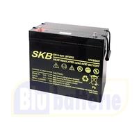 Batteria AGM SKB SK12-80S 6FM80S 12V 80Ah Piombo Ermetica Ricaricabile Poli M6