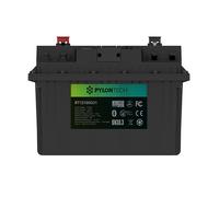 Batteria al litio 100Ah 12V con BMS integrato, bluetooth. Può essere collegata i