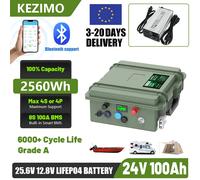 Batteria al litio 24V 12V 100Ah LiFePO4 2560Wh 140Ah 200Ah Batteria al litio Grado A Bluetooth BMS 6000+ Cicli IP56 Carica USB QC Stock UE