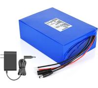 Batteria al litio da 24 V, 2000 mAh, 5200, 13000, 41600, 62400, ricaricabile, con caricatore CC per apparecchiature di alimentazione