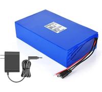 Batteria al litio da 24 V, 2000 mAh, 5200, 13000, 41600, 62400, ricaricabile, con caricatore CC per apparecchiature di alimentazione