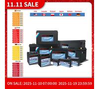Batteria al litio ferro fosfato LiFePO4 con BMS, 12 V, 24 V, 36 V, 48 V, 100 Ah, 120 Ah, 200 Ah, per carrello da golf, EV, camper, energia solare