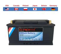 Batteria al litio ferro fosfato LiFePO4 con BMS, 12 V, 24 V, 36 V, 48 V, 100 Ah, 120 Ah, 300 Ah, per carrello da golf, EV, camper, energia solare