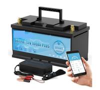 Batteria al litio ferro fosfato LiFePO4 da 12 V 100 Ah, BMS aggiornato, 6000 cicli, Bluetooth, compatibile con golf cart, camper, fuoristrada, fuori rete, solare eolico.