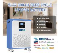 Batteria al litio LiFePO4 da 300AH 200AH 100AH Batteria al litio 15KWH 6000+ cicli Supporto BMS Bluetooth in serie/Paral EU STOCK 51.2V 100AH