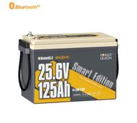 Batteria al litio Power Queen 24V 125Ah con sistema autoriscaldamento Bluetooth