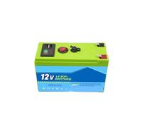 Batteria Al Litio Ricaricabile LiFeP04 Da 12 V 60 Ah A Ciclo Profondo For Energia Solare, Scooter, Ruote Motrici, Ecoscandaglio, BMS Integrato(1PCS 120Ah Charger)