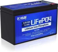 Batteria Al Litio Ricaricabile Lifepo4 Da 12V 6Ah Con 3000 Cicli Profondi per Ki