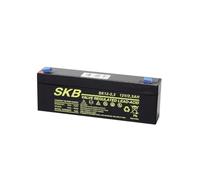 SKB BATTERIA RICARICABILE SKB AL PIOMBO 12V 2,3A (38640205)**PUOI PAGARE ANCHE ALLA CONSEGNA!!!**