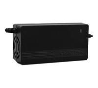 batteria al piombo, caricabatterie, E-bike, scooter, auto, 48V, 20Ah