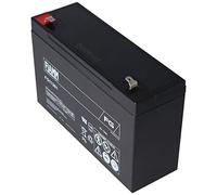 Batteria al piombo originale per FIAMM FG11201