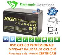 BATTERIA AL PIOMBO RICARICABILE 12V 12A CON FASTON 6.3MM SKB USO CICLICO