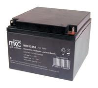 Batteria al piombo ricaricabile 12V 25Ah terminale t3 MKC