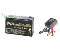 BATTERIA AL PIOMBO RICARICABILE 12V 9A CARICABATTERIA PIOMBO 12V 6V 2V 600mAh
