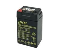BATTERIA AL PIOMBO SKB 4V 2AH SK4-2 F1