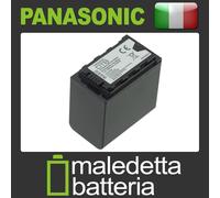 Batteria Alta Qualità SOSTITUISCE Panasonic VWVBD29, VW-VBD29, VWVBD58,