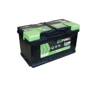 BATTERIA AUTO FIAMM TR730 75Ah 730A 12V