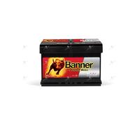 BANNER 013572090101 Batteria