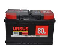 Ursus Batteria avviamento auto 80 Ah DX 12V pronta all'uso con maniglia 31x17,5x19 cm