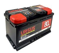 Ursus Batteria avviamento auto 80 Ah DX 12V pronta all'uso con maniglia 31x17,5x19 cm