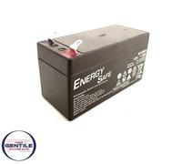 BATTERIA BACKUP RETE DI BORDO 12V 1.3 AH PER BMW MERCEDES LAND ROVER