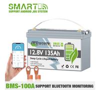 Batteria Bluetooth Litio 12V 135Ah LiFePO4 Smart BMS Batteria Camper 15000+Cicli