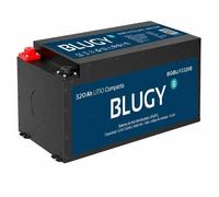 Batteria Blugy 320Ah 4096Wh LiFePO4 12V con BMS e Bluetooth