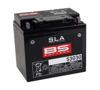 Batteria BS Battery SLA 53030 12v 30.0Ah pronta all'uso