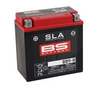 BS Battery Batteria SLA senza manutenzione attivata in fabbrica - BB9-B