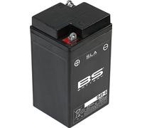 BS Battery Batteria SLA senza manutenzione attivata in fabbrica - B49-6