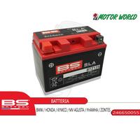 Batteria BS Battery SLA Senza Manutenzione Attivo Marmitta - BTZ12S