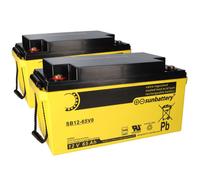 Batteria Compatibile Per ESSER 581732 2x 12V 65 Ah