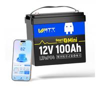 Batteria Deep Cycle con Bluetooth, 12 V 100 Ah Mini BT LiFePO4, batteria al litio con Bluetooth, leggera e compatta, utilizzo di celle EVE Grade A+ (12 V100miniBT-1)