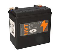 Batteria Di Backup A2115410001 & 61217586977 AGM 12V 14Ah AUX14 LP
