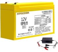Batteria di ricambio 12 V 10 Ah 18 20 per spruzzatore elettrico Litio Volt per spargi fertilizzante con caricatore