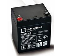 Batteria di ricambio per APC Back-UPS ES BF500-RS RBC30 RBC 30