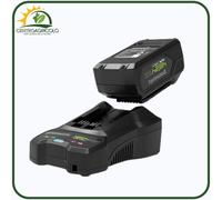 Batteria doppio voltaggio 48/24V 2Ah/4Ah Greenworks G4824B2 + caricabatterie